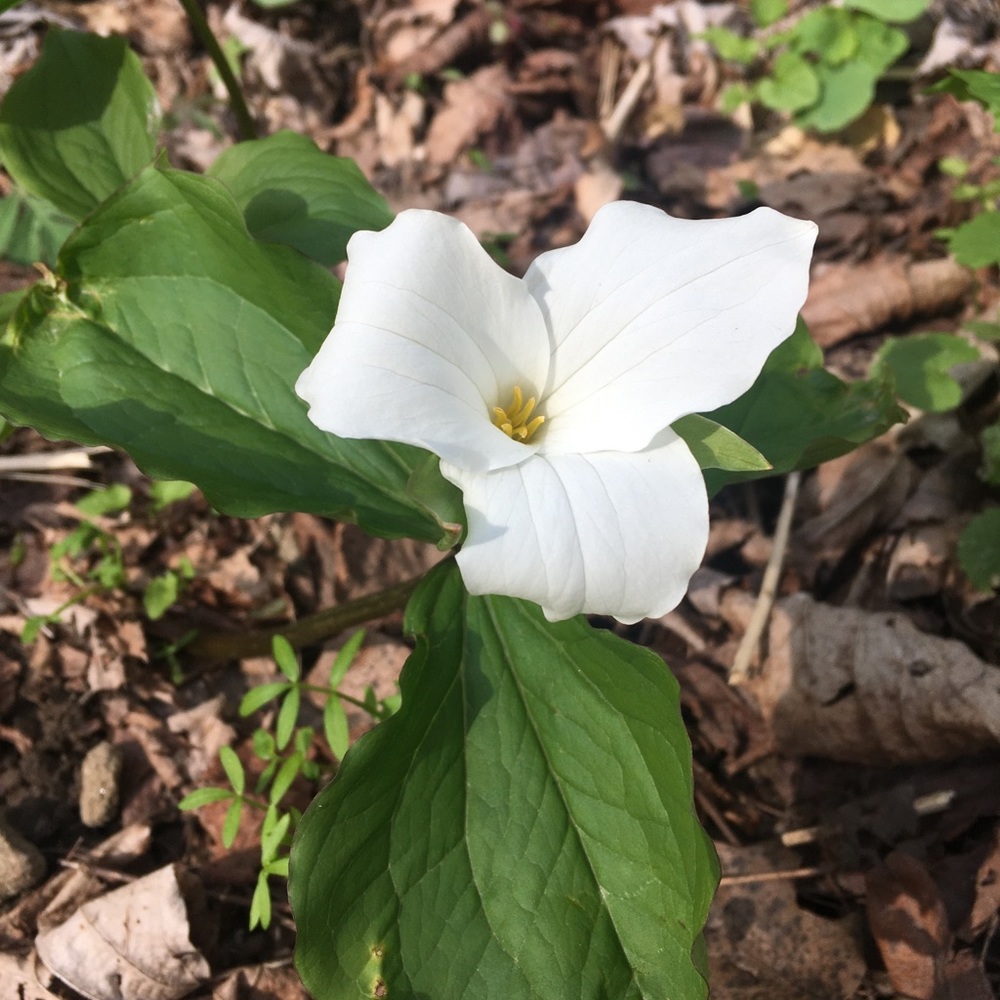 Meet your Posher, Gina